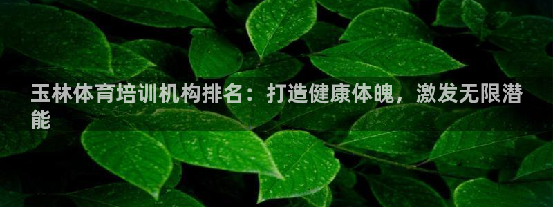 欧陆娱乐怎么注册帐号：玉林体育培训机构排名：打造健康