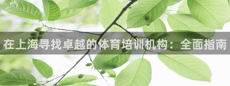 欧陆娱乐登录平台有哪些：在上海寻找卓越的体育培训机构