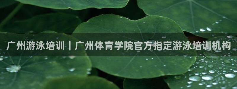 欧陆娱乐登陆平台官网：广州游泳培训｜广州体育学院官方